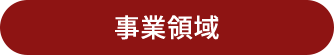 事業領域